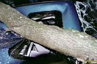 Smashed Sunroof