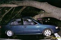 Crushed Nissan