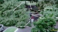 Big Tree On Car
